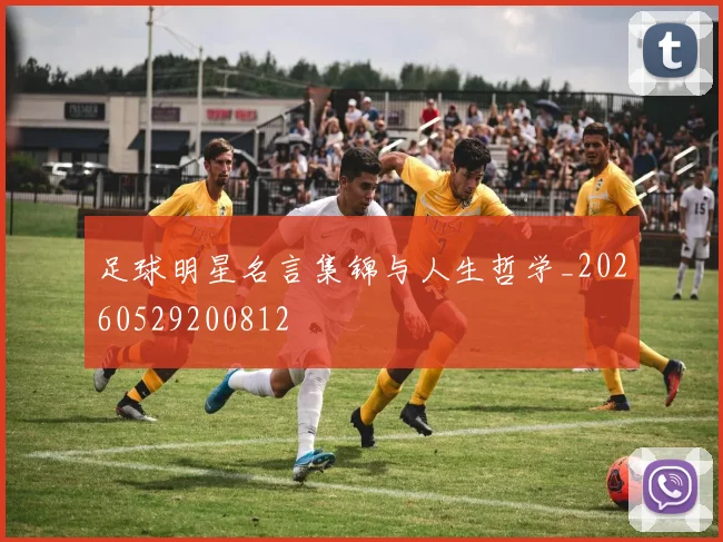 足球明星名言集锦与人生哲学_20260529200812